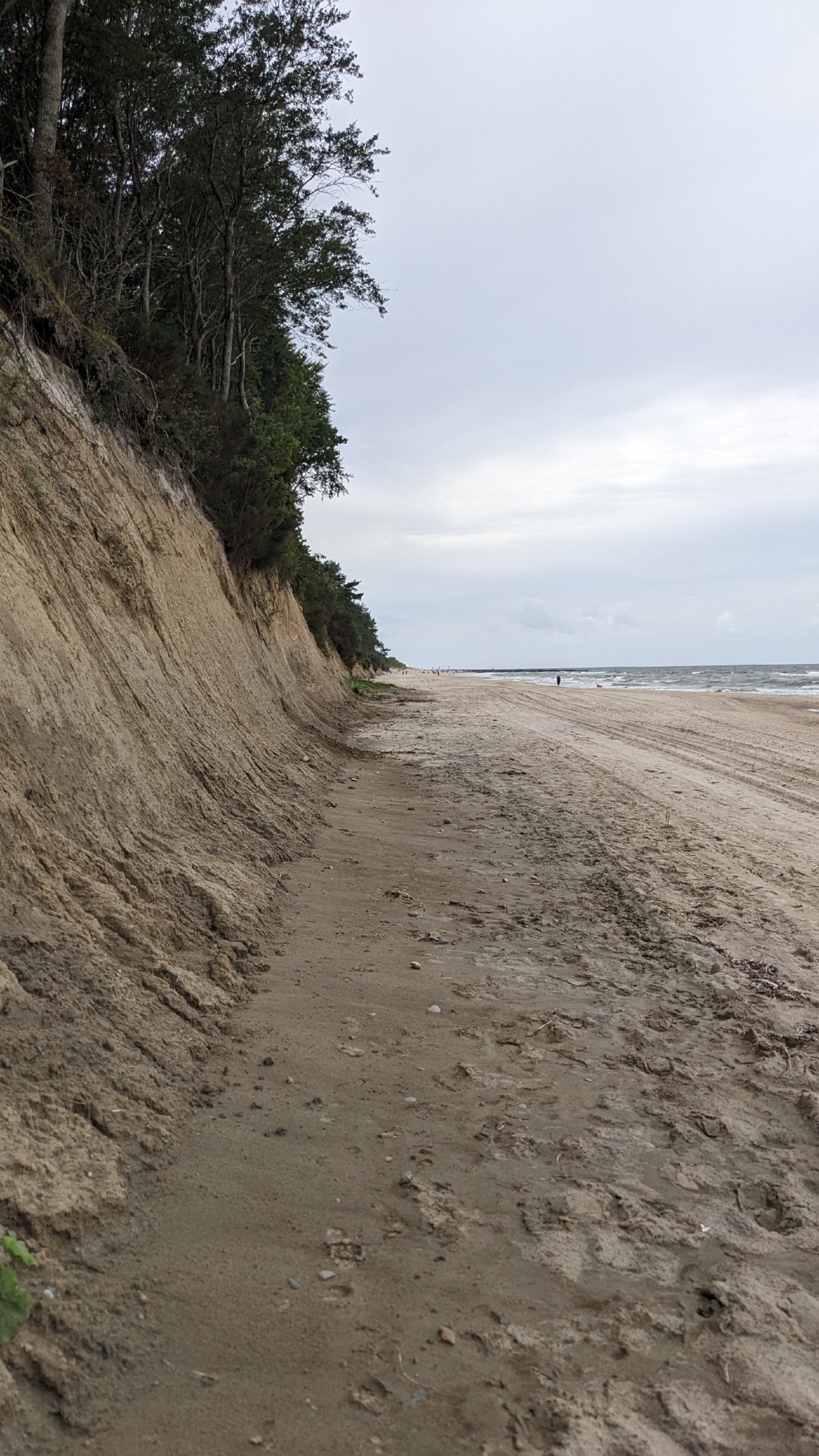 2606cf34-2f1b-4b51-9cfa-69d1929a3502