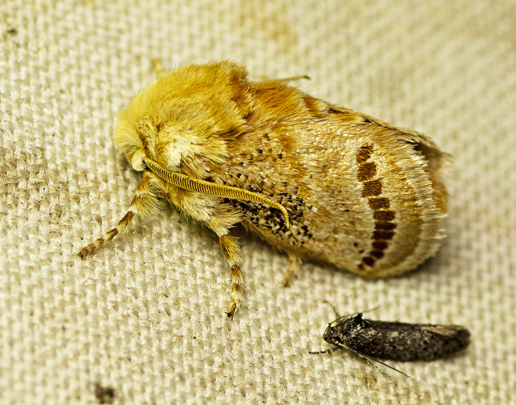 49dcc6f0-0d29-4d22-bea7-a78d239cfea6