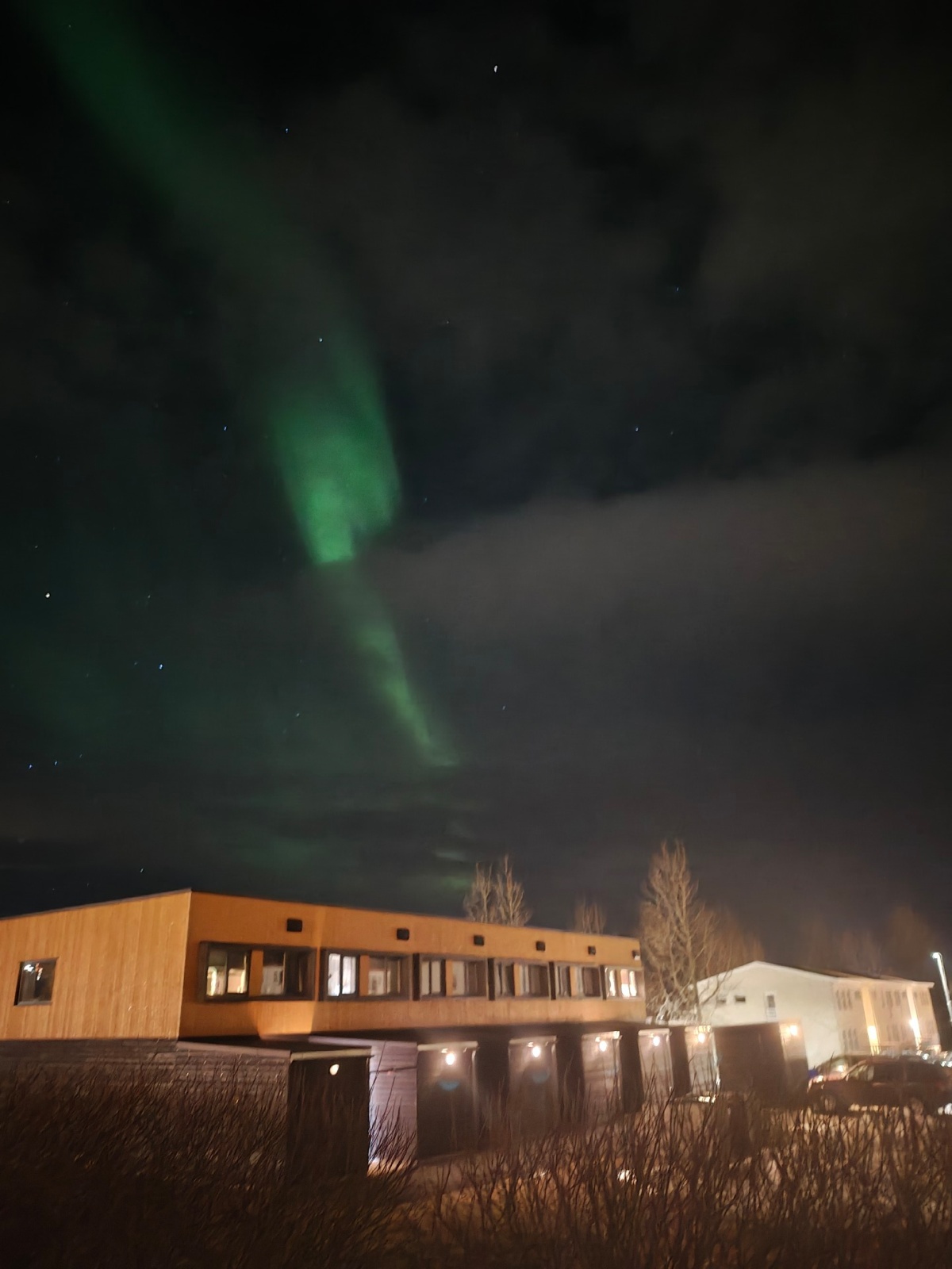 97a221c9-c961-4f54-9d97-b849b85d83a3