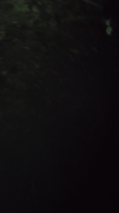 eb462ed4-978e-469c-858d-880e1f15d3cb