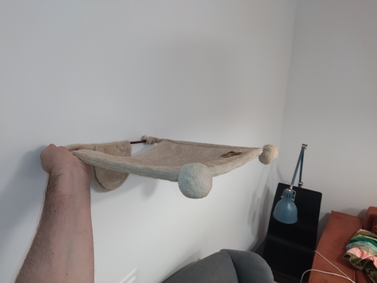 8938d5fd-b7dc-404a-983f-175c8978a6ad