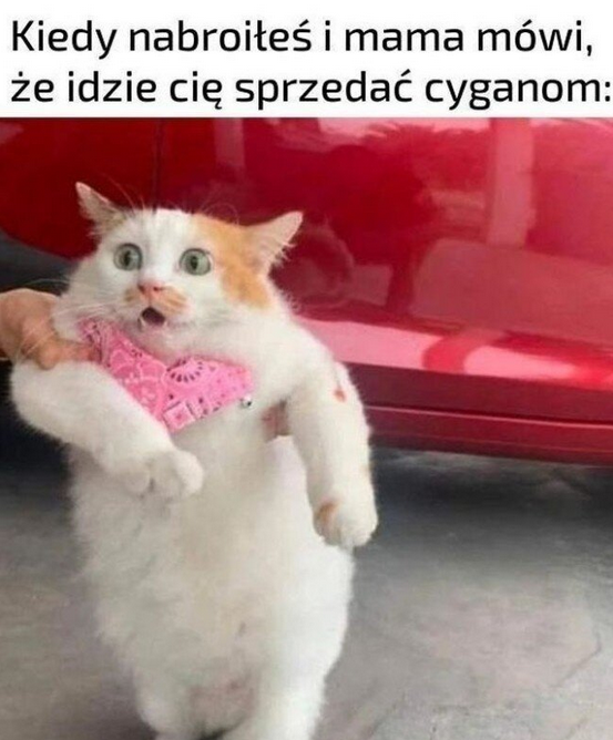 4506acbb-73e7-47b2-aa07-89bff44d6bfd