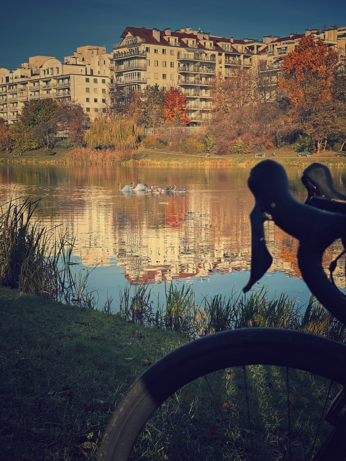 52d0b3a6-c8c1-4303-9cae-68e7709bfd2a