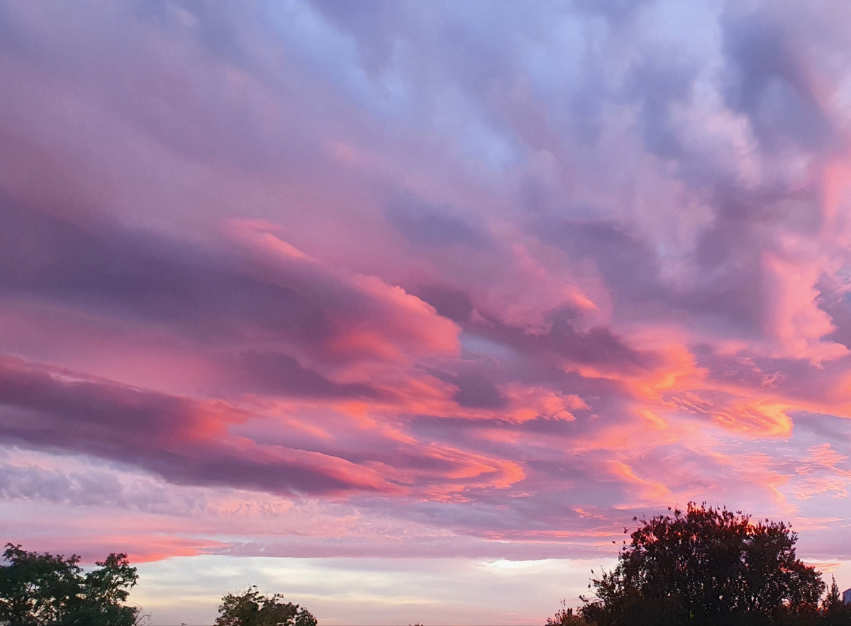 3bde6585-79de-4581-a95c-bc52f3c0c1d3