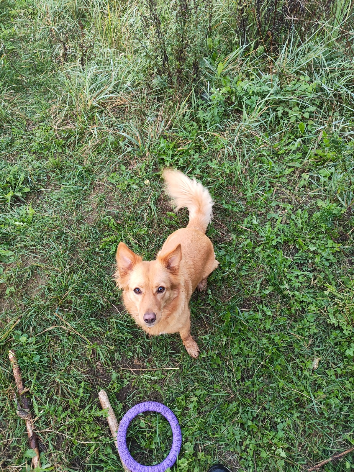 628dd9ac-b5d3-47a0-9789-ddd585ad7273