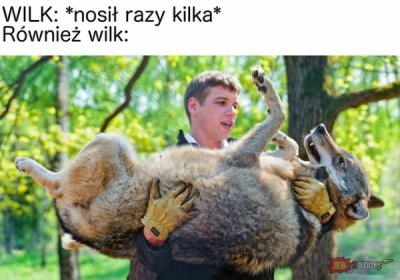 a7f4dd9f-d622-415b-b457-a91f5b367d9a