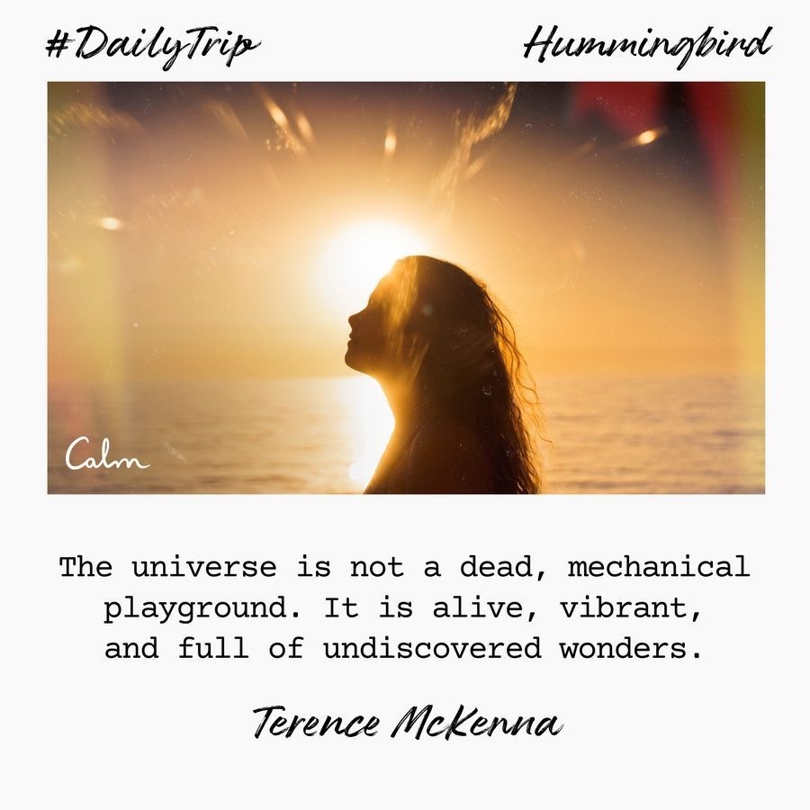 0581d9bc-4364-4fe2-aba6-61d78a3828e6