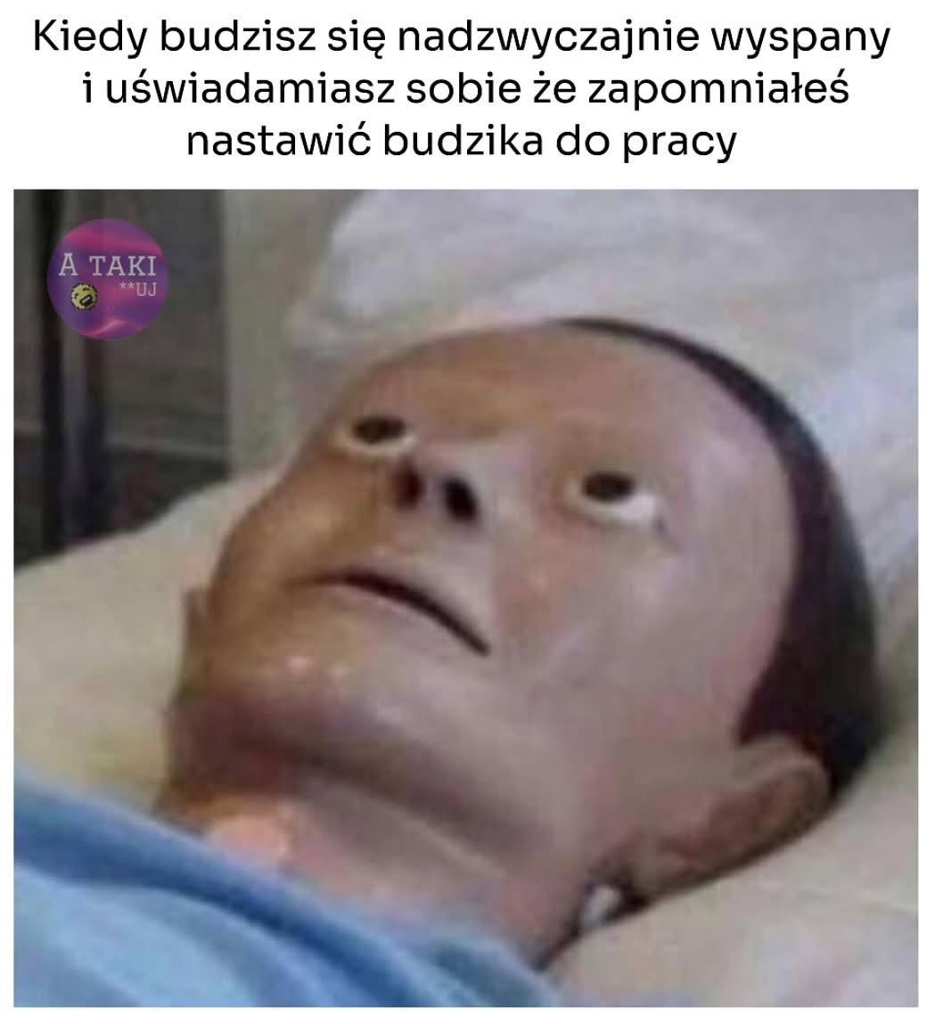 7e2a6941-8a1b-45b3-984f-001cb1883656