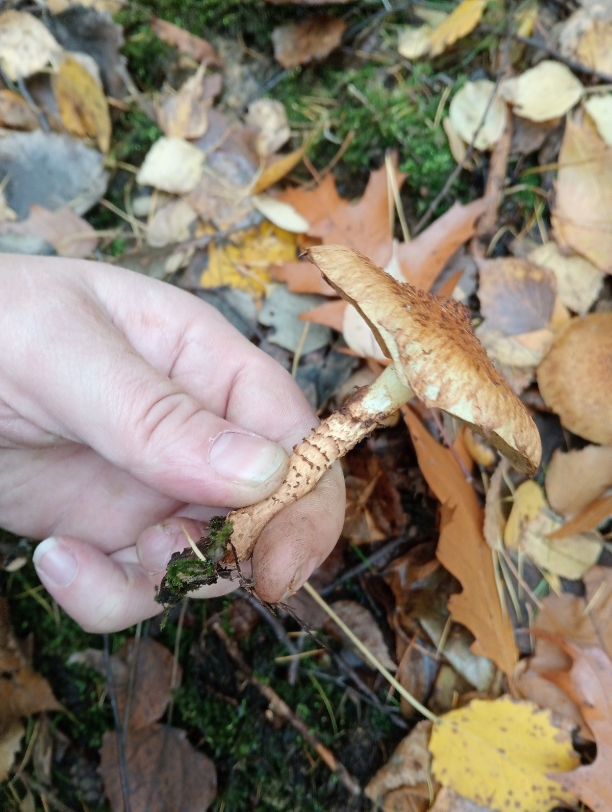 3ce76e42-6a59-4949-8ab7-9f8fbbc7e69b