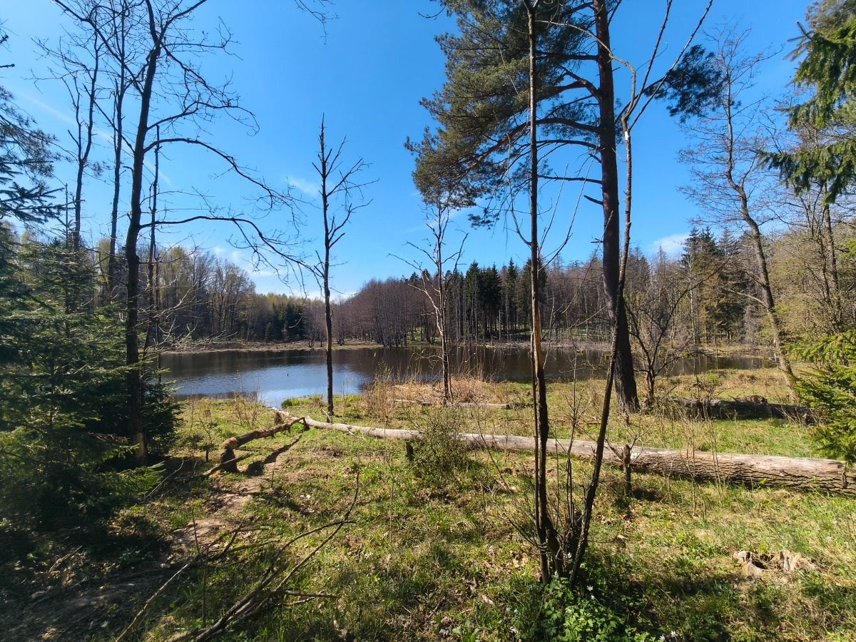 312d3404-85a5-4488-a147-1e1cec73c1e6