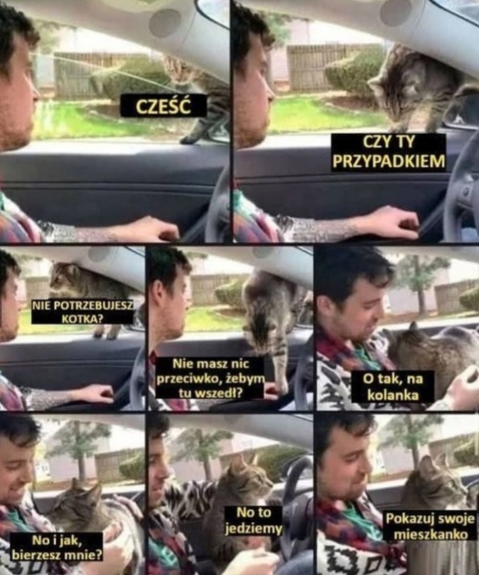 cdba577b-75ce-45cd-96a3-84f00de451f1