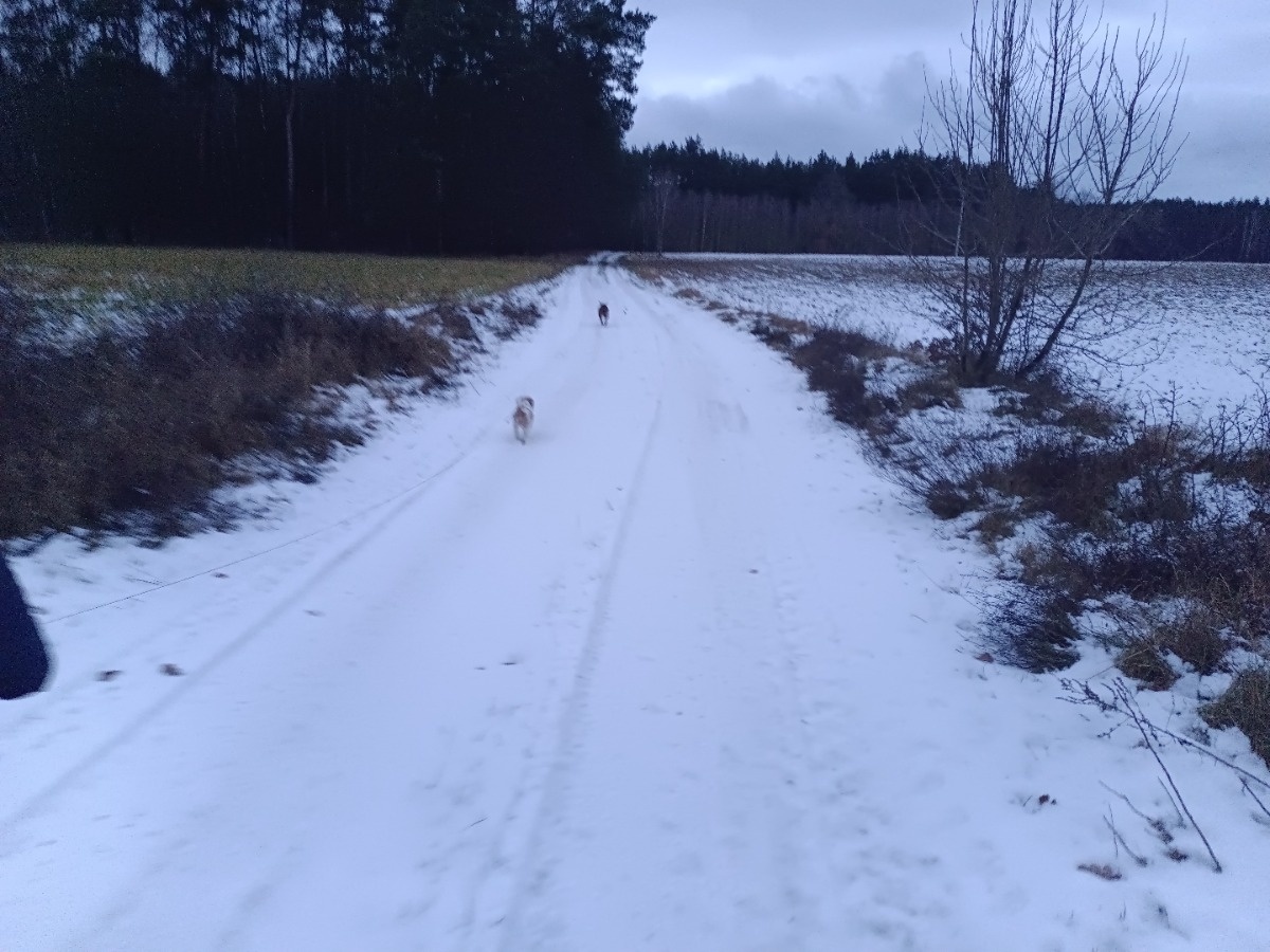 c91c6a24-34e5-44e5-a658-d28eeaf09ecb