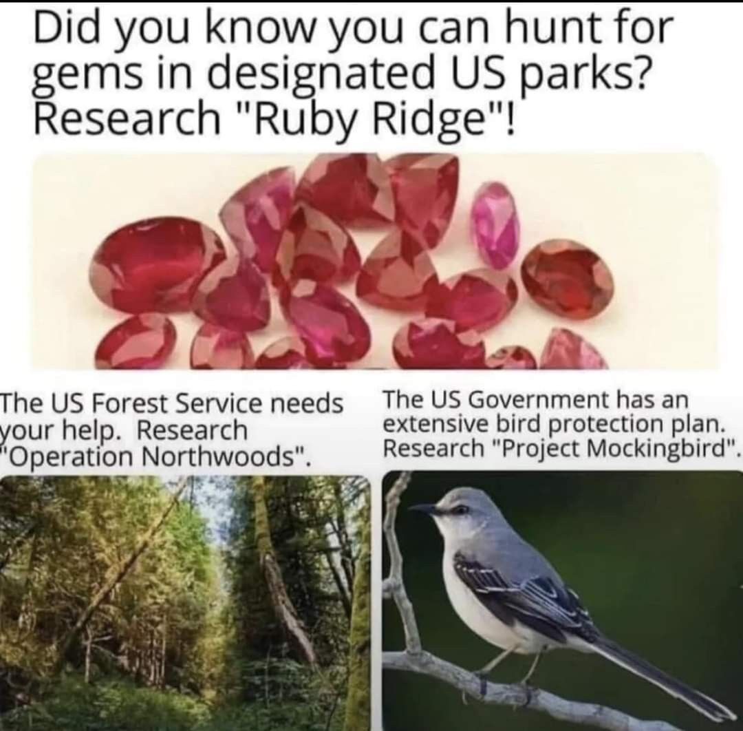 8bb53056-0a10-43de-aa2b-71eb52fecd91