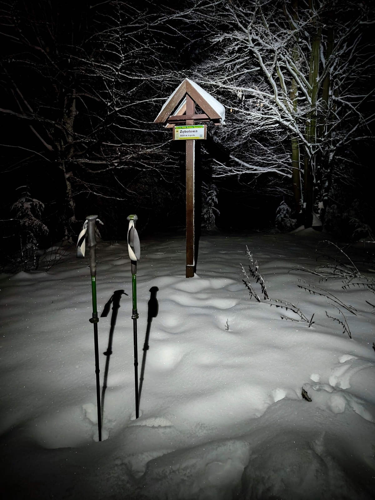 0f4241a8-4ea5-4407-9a81-cd584f350082