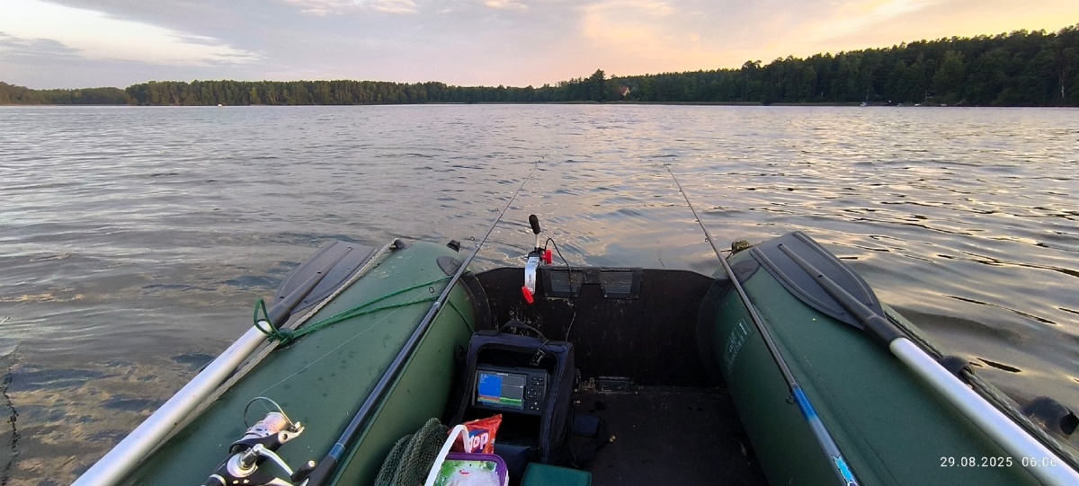 8223f6b2-3401-4615-8977-fcdc77a116c3