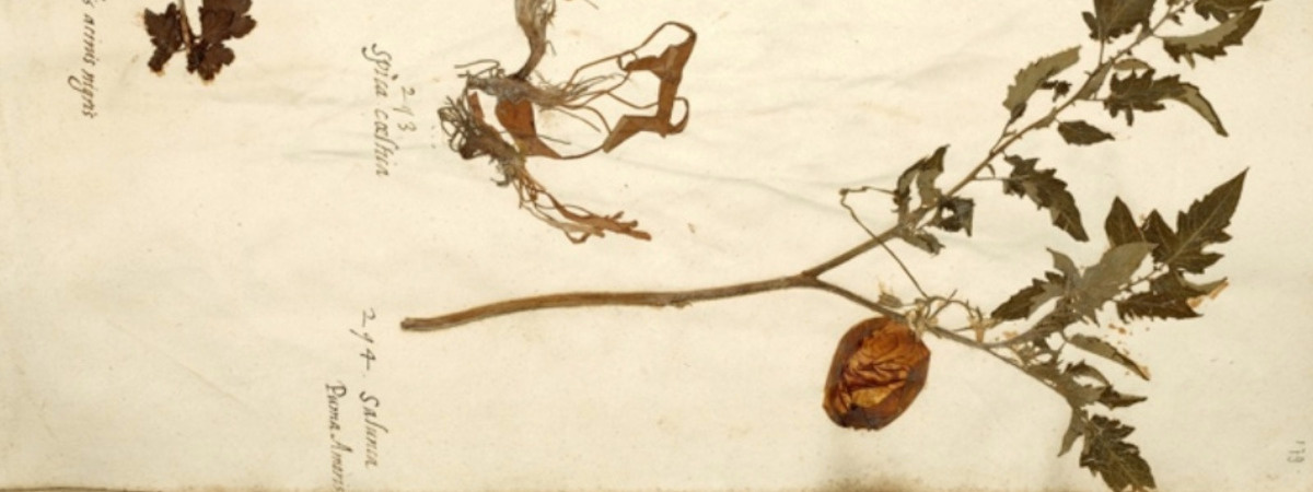 9025577b-1419-4ed0-b8f2-38b90bcab6c7