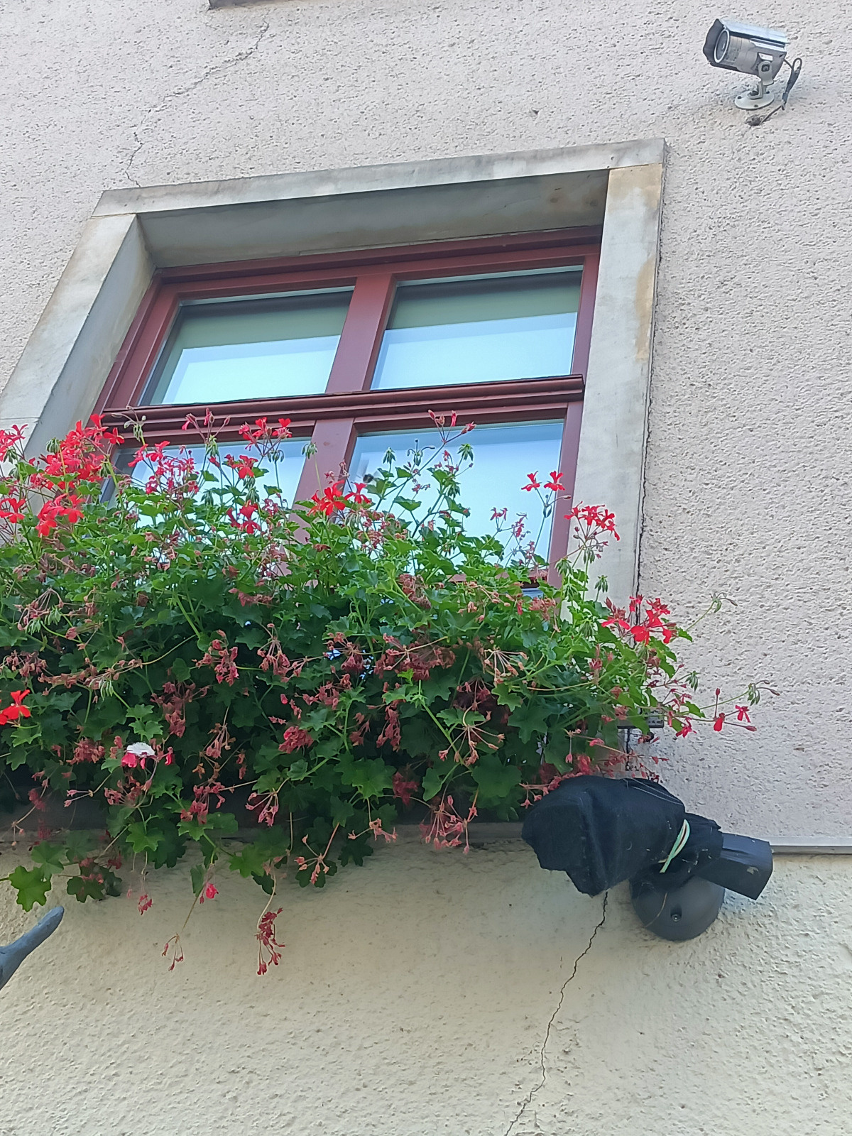 905fd881-fe8e-42f5-a7e2-5c97fc5c1065