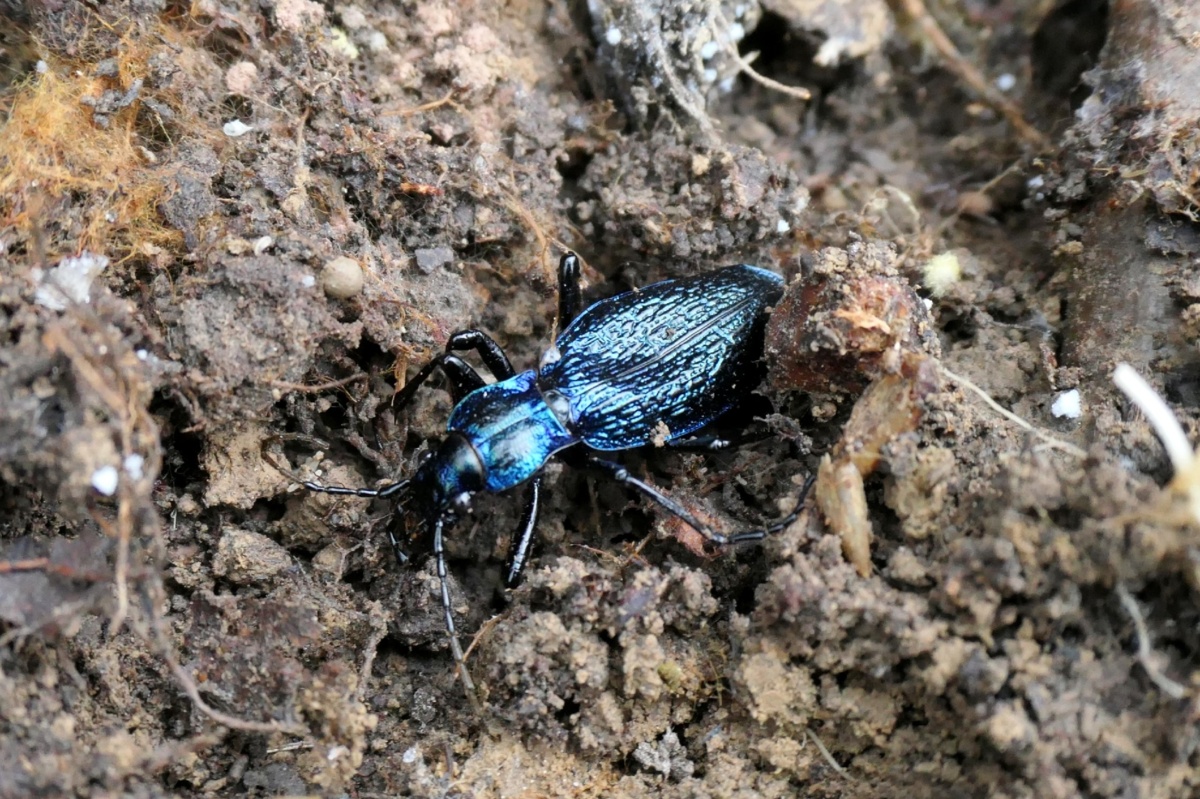 9e58f3fa-4221-4083-8e93-cfcd41b99a8e