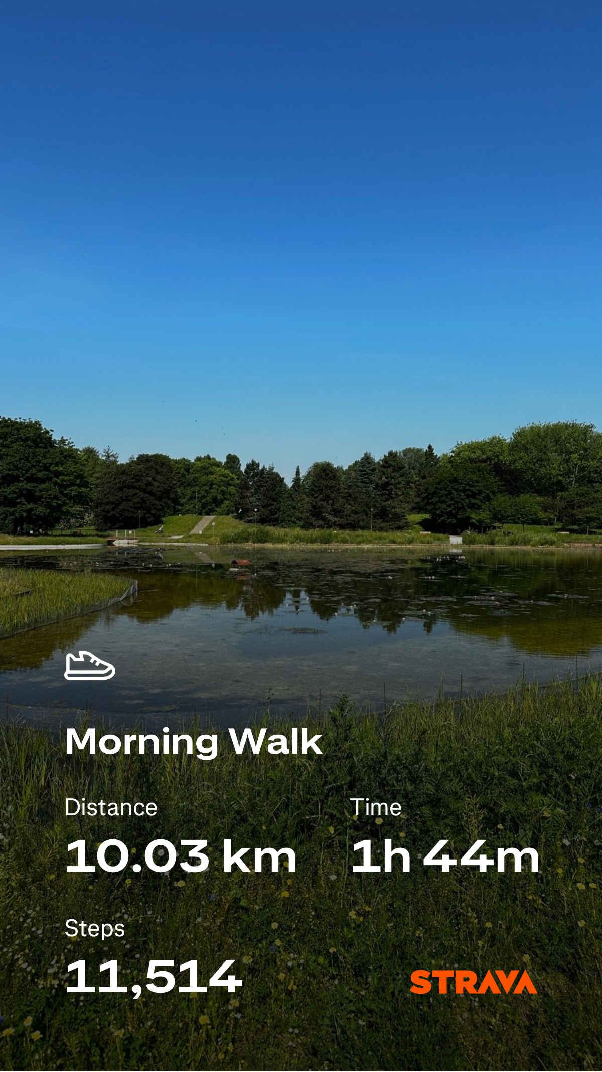 425bd195-65e3-4233-9fc8-ad3d45f9634e