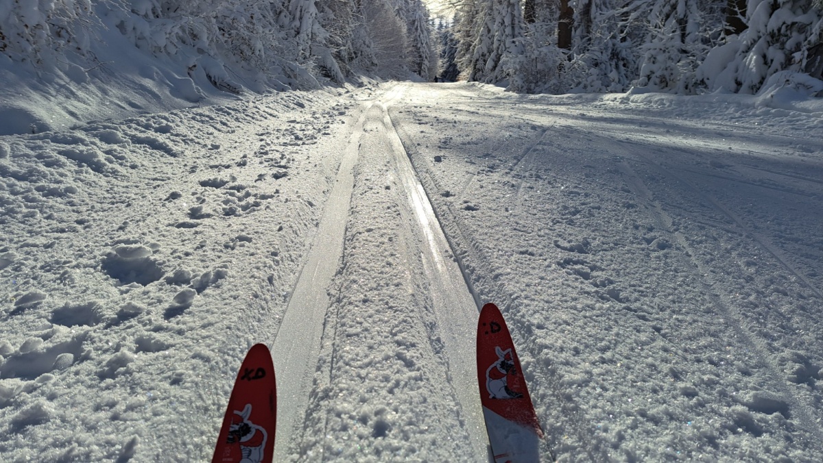 7008f291-4b8e-4aa8-a174-d575beabc56e