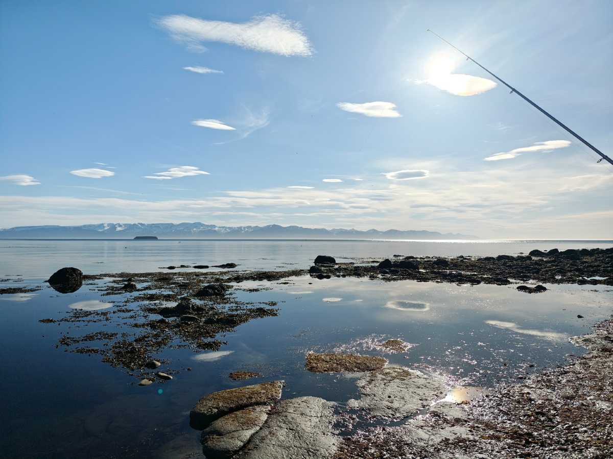 a44b3c60-64f7-43a9-92a2-35857b31ff50