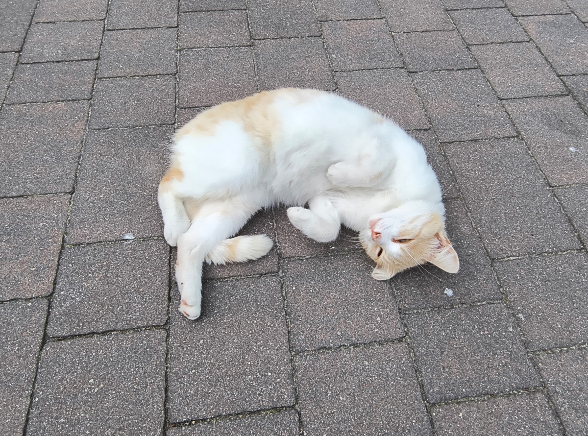 1582cb5c-3a5b-4d6d-bb1f-6056033c8a38