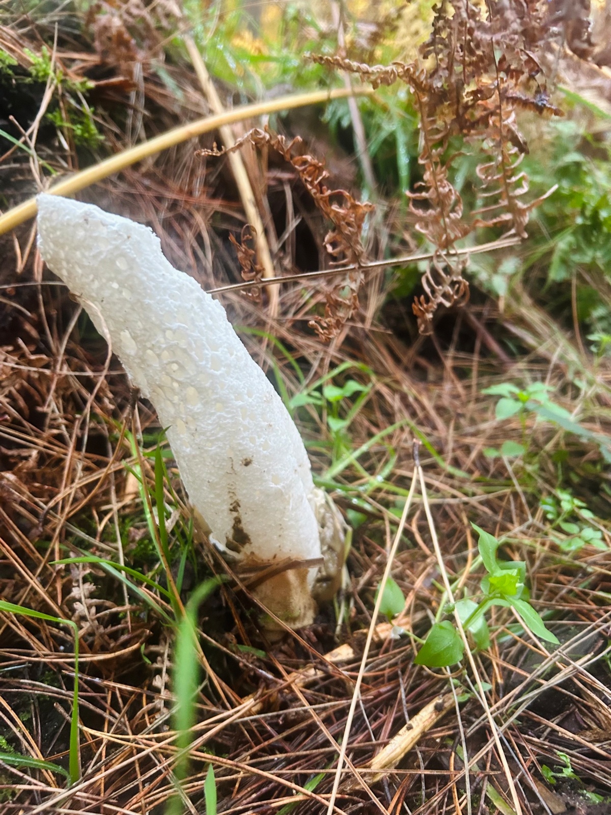 a6124322-4847-40db-b39d-ed24b91b511d