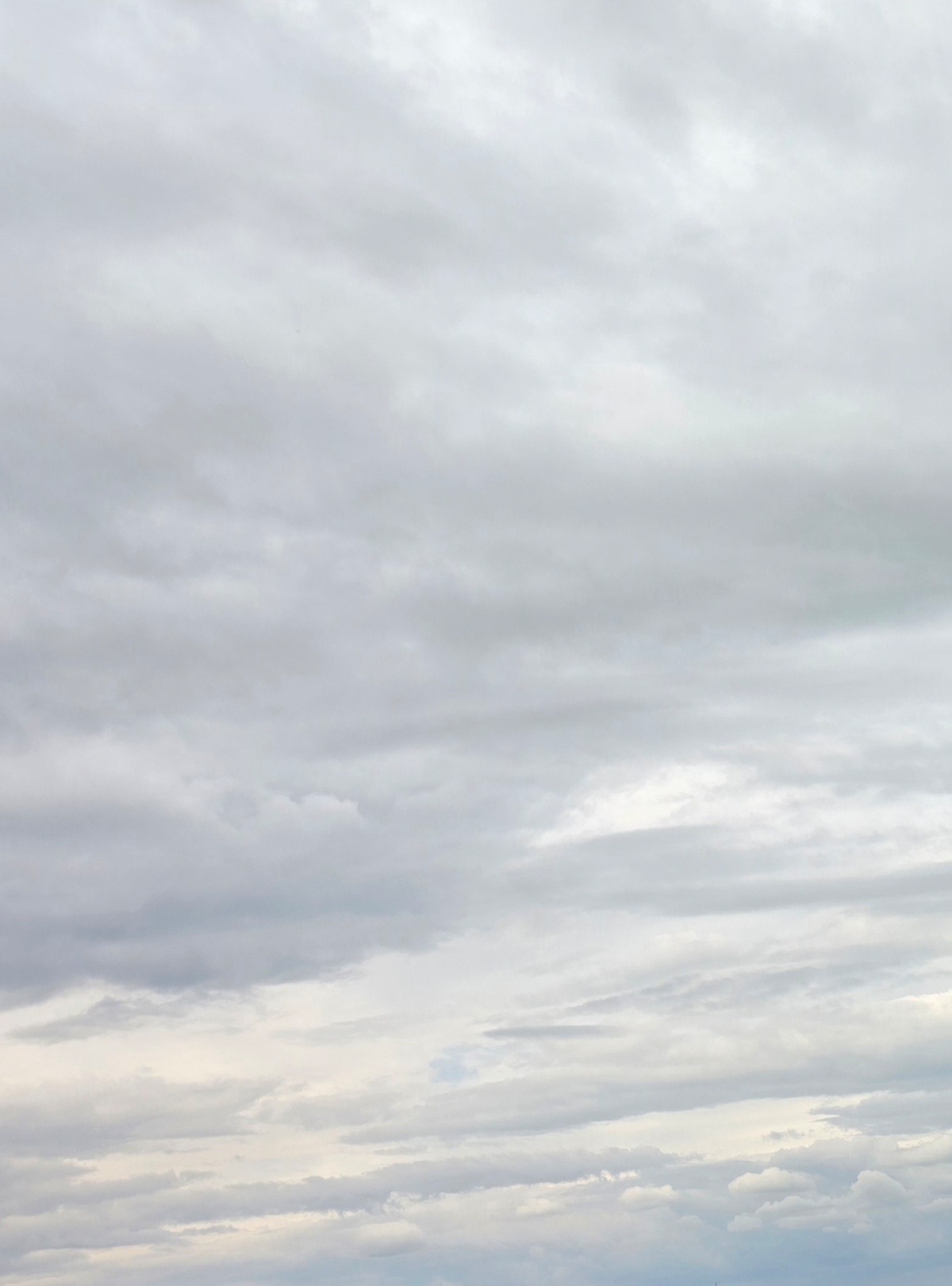 55bc7999-6406-4117-8f6d-6c51c6dbcaf6