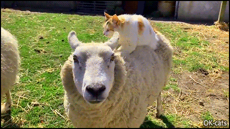 9ee2a5ef-1bc2-471a-8001-4f45af407e76