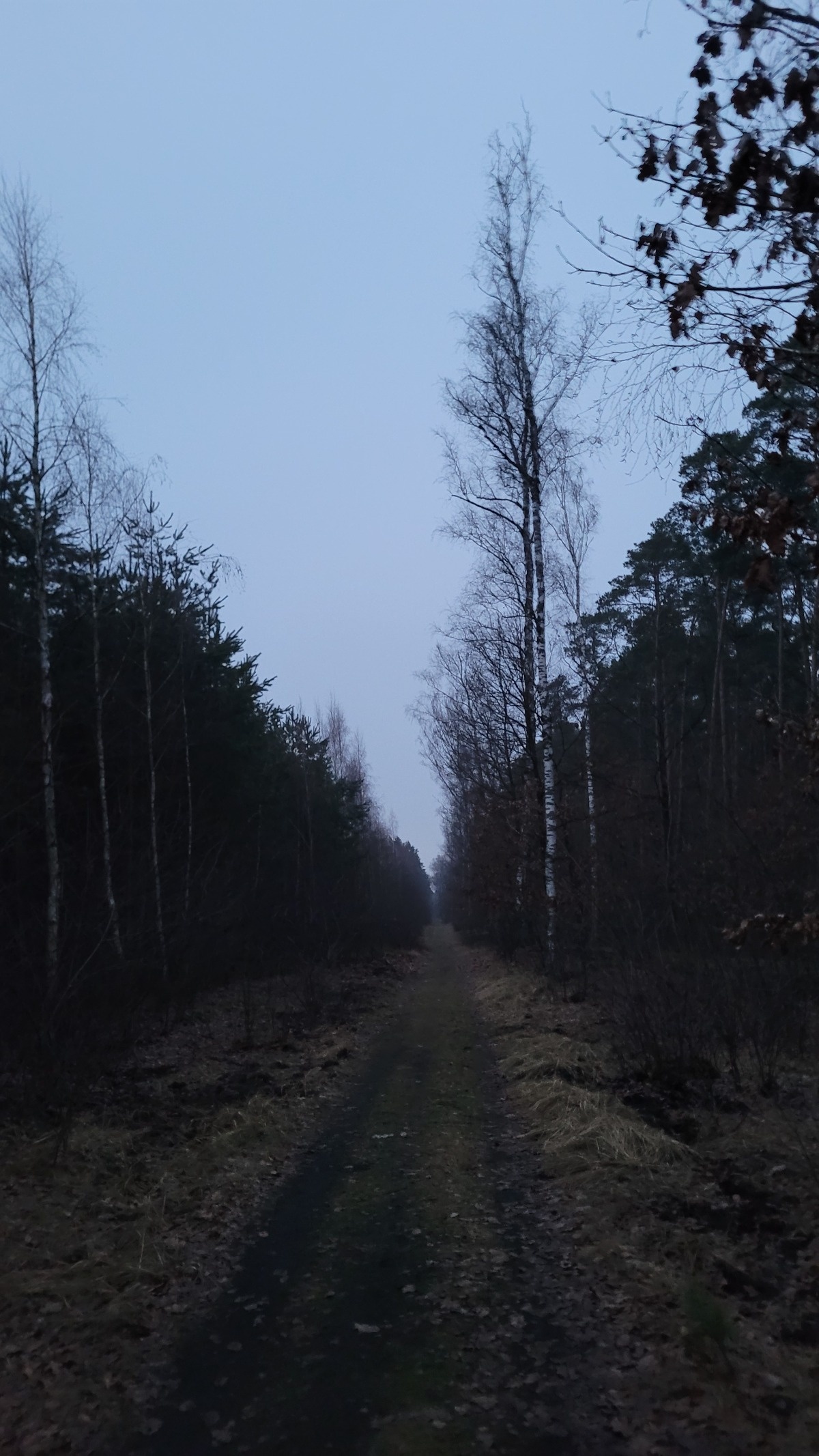 c7605427-7d07-4ef5-9f89-fce961a12ad3