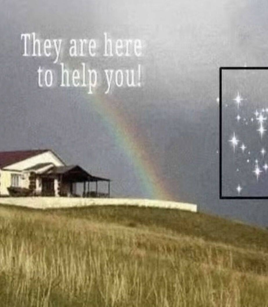 ff82f588-8190-4308-9a94-a76e1150c142