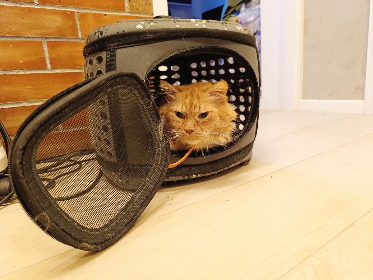 4430f00e-9178-402f-a04b-0f85069f663e