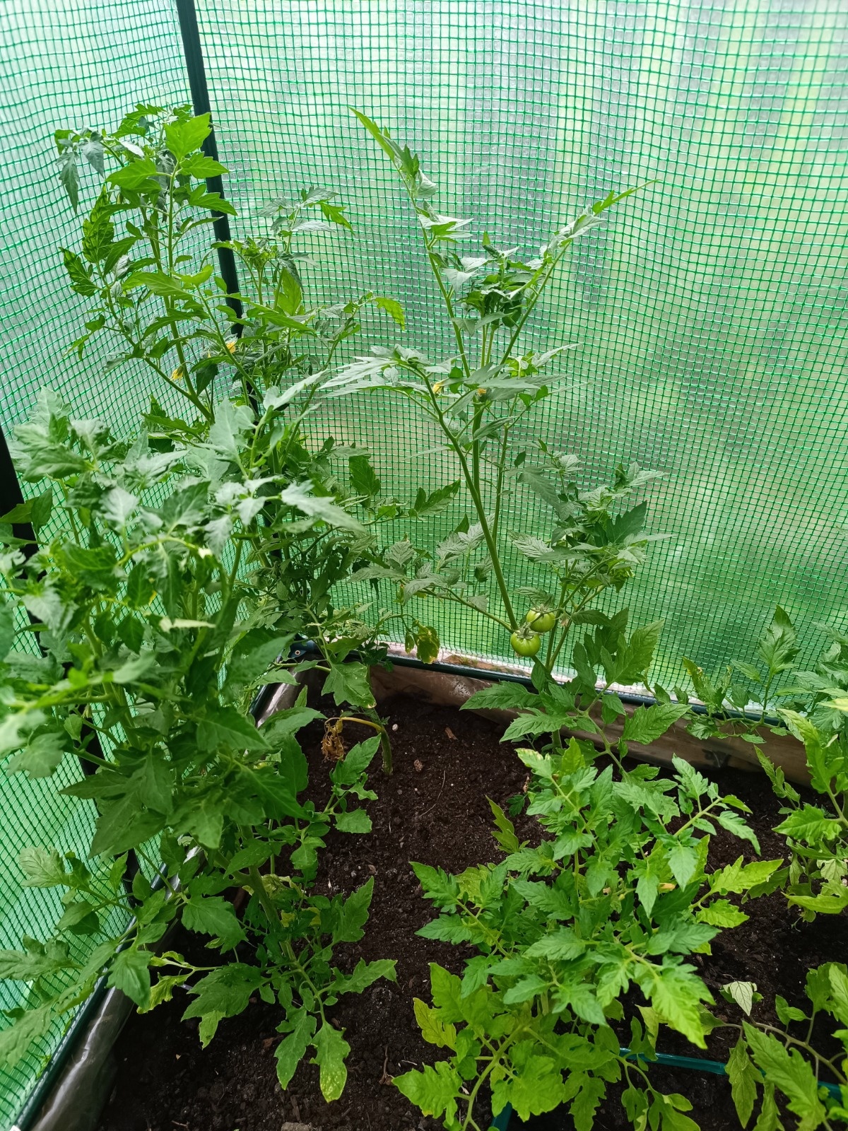 a5b12e95-d314-4d4f-a3f7-968827440b7f