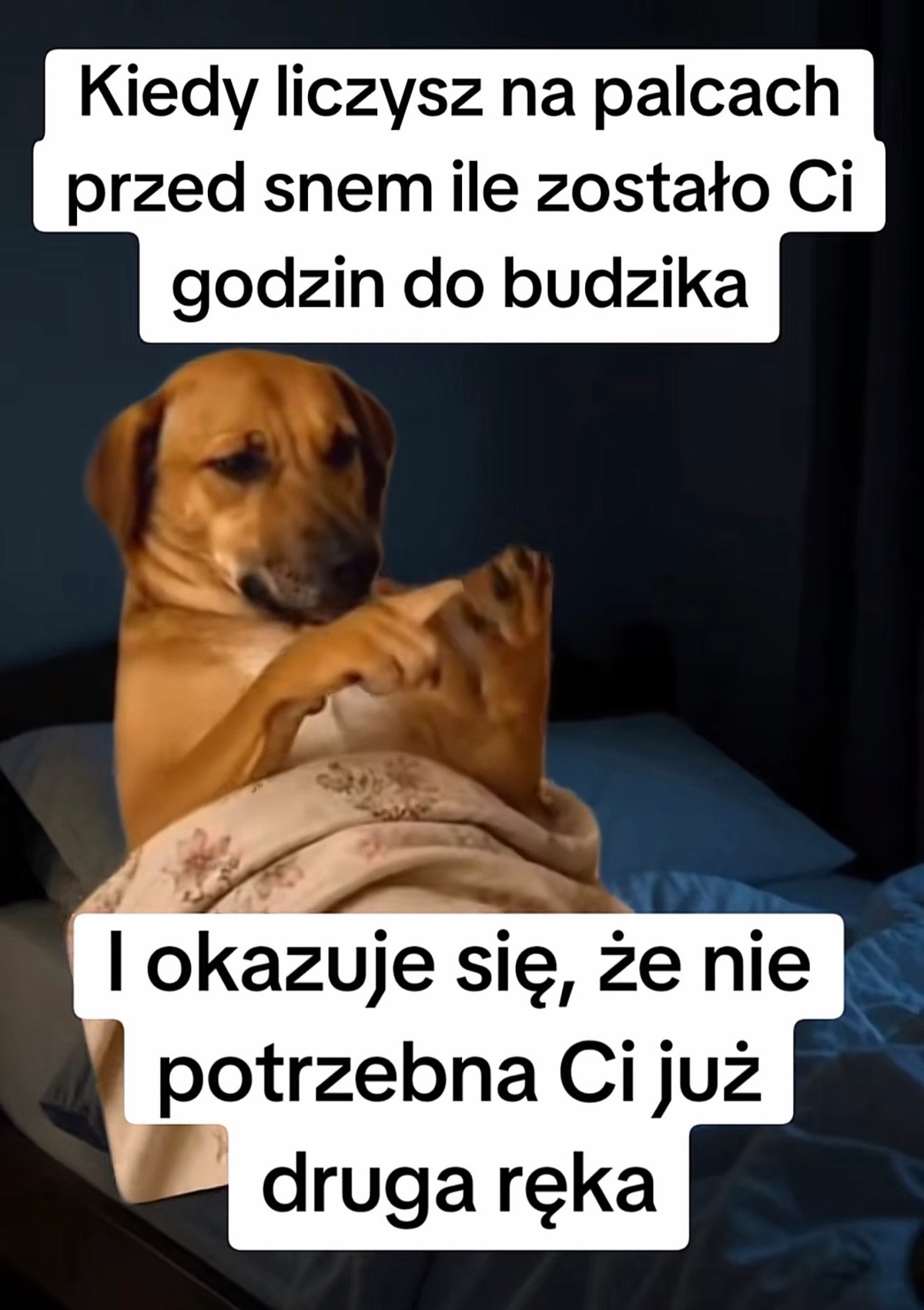 1a4f809a-7c14-4c78-99d9-ce7e3b2c2aaf