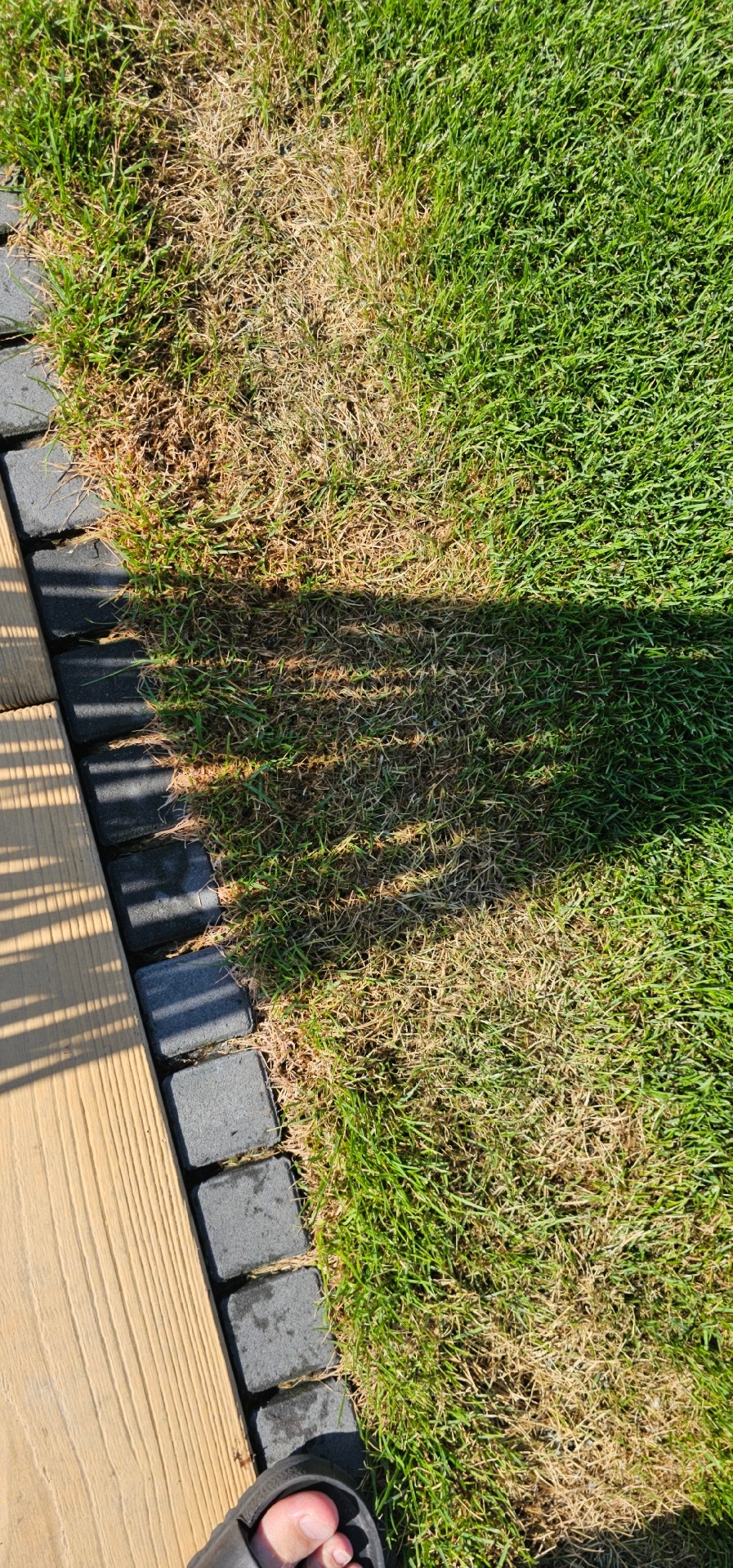 cde06e80-f322-426a-aaae-ba968d0e4dbb