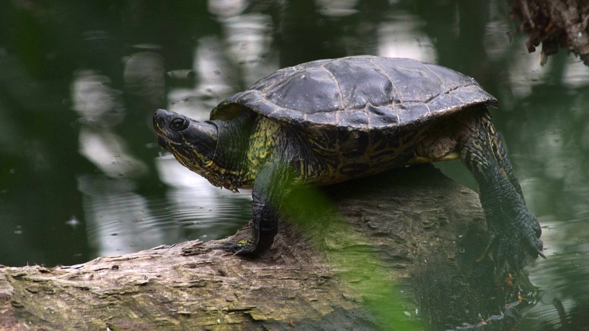 ea08d323-c2d1-4695-986a-a737a2e65de2