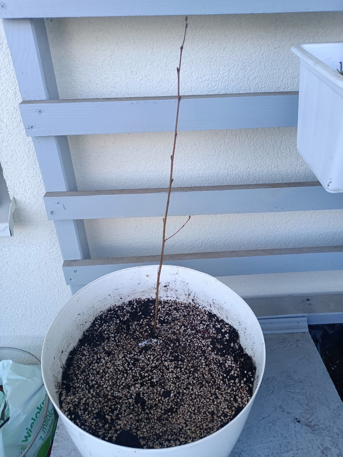 d528ac6d-5775-4bff-a2a2-86d7ee235032