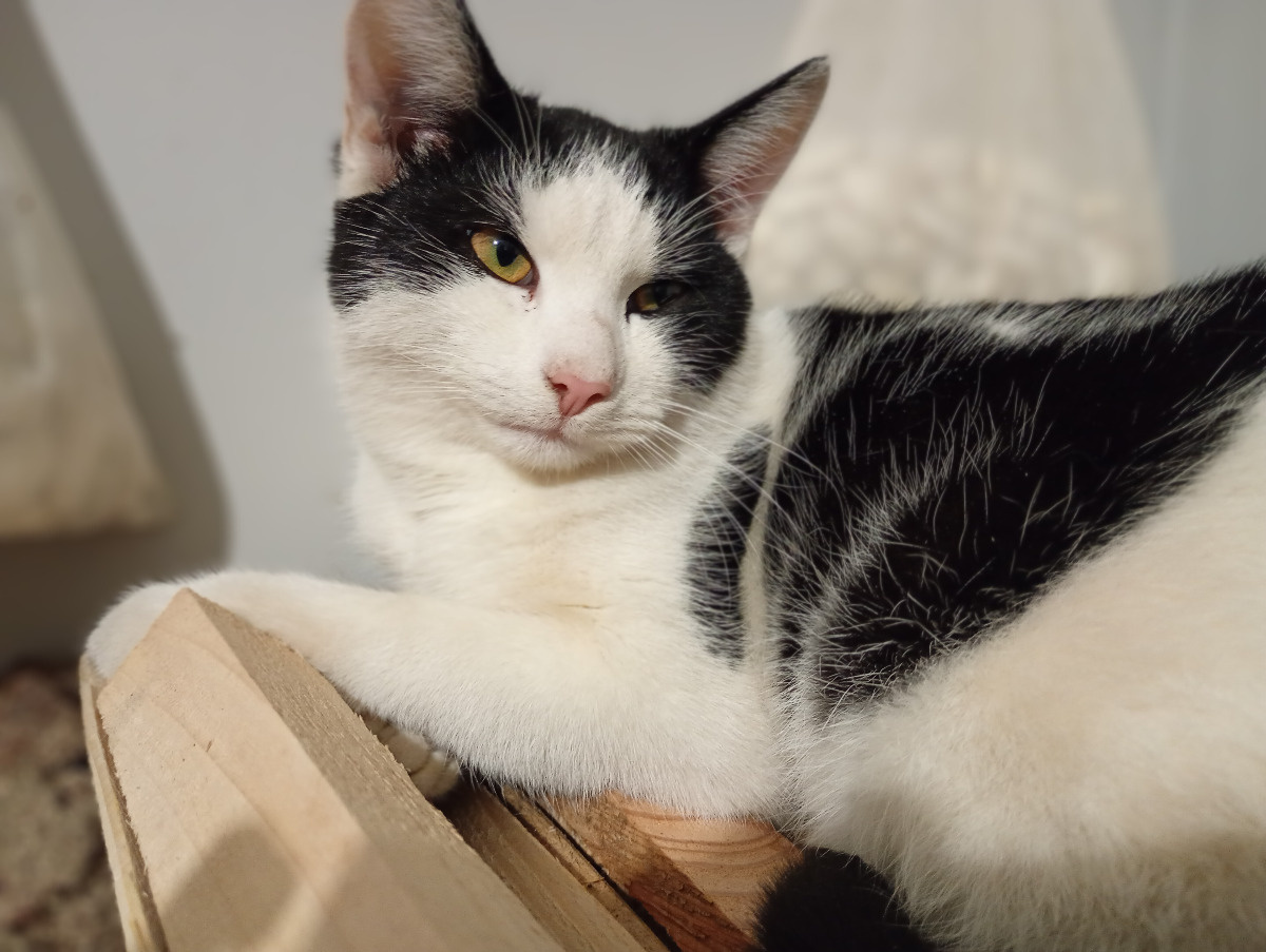 ba6ed060-d462-4c65-89db-883854e1d58f