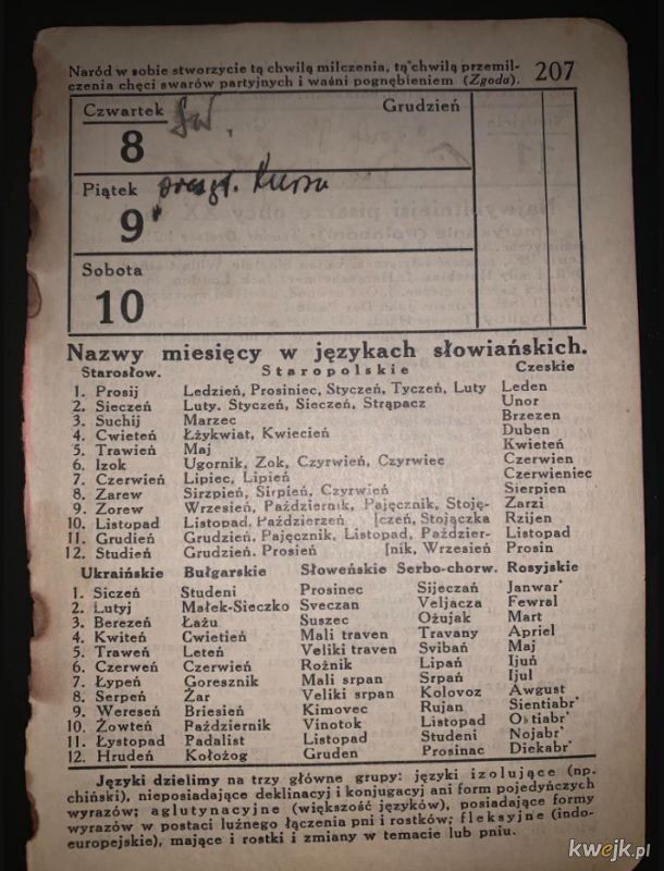 6effd346-ed67-4fca-a4d4-42ac90868ed2