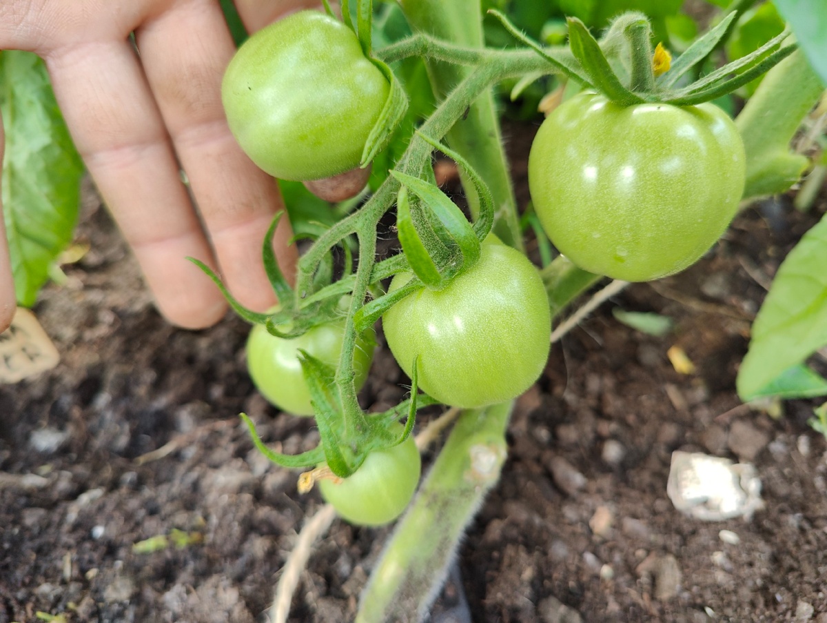 52f8ab48-1527-4806-a7c1-77b630111d74