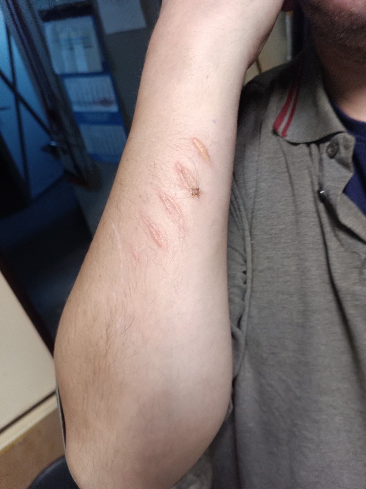 bed061b8-fb04-41e7-ac88-a5fd7bf3c6de