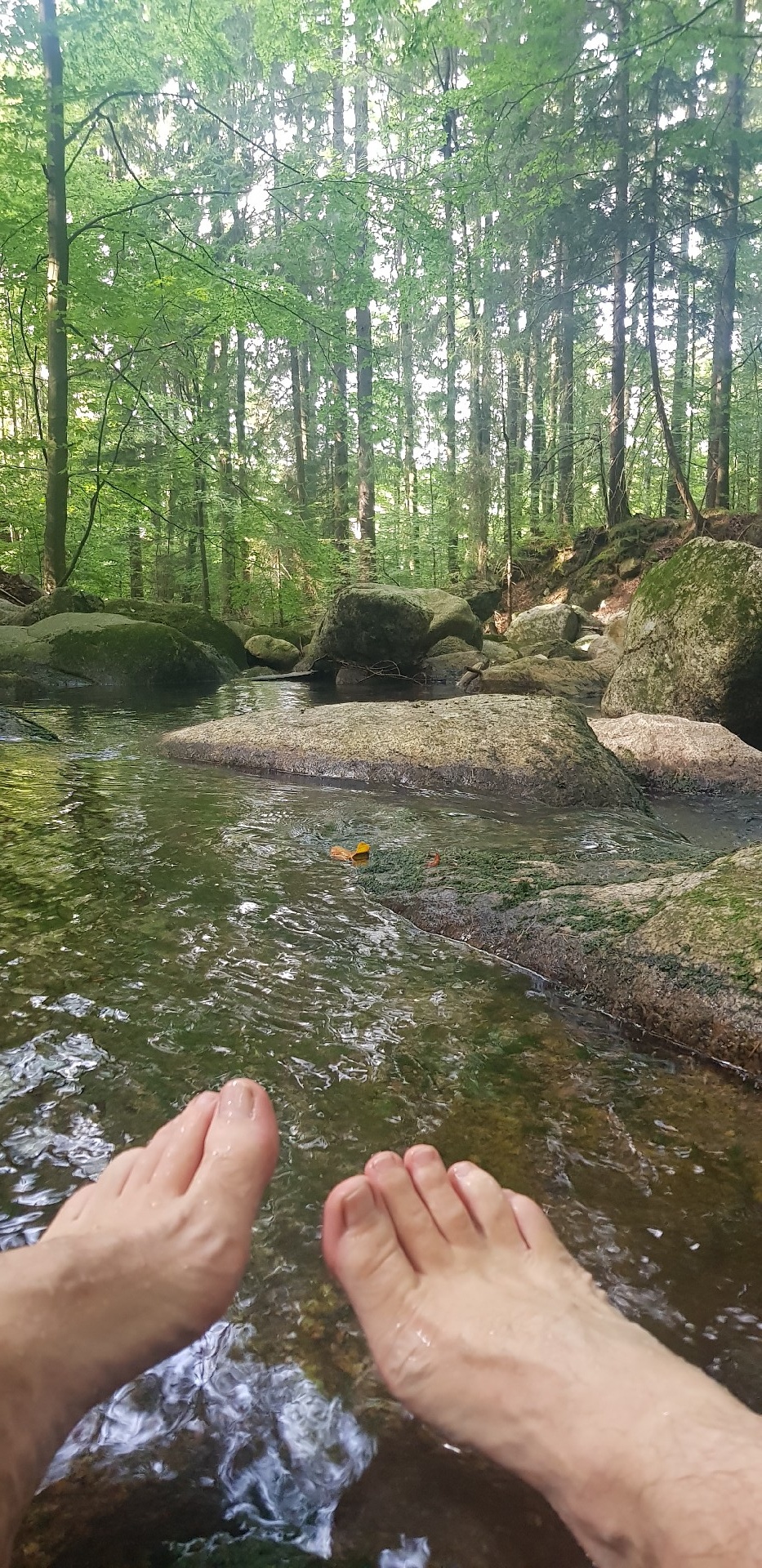 294154d2-9e5e-4a90-a829-77ad049608f8