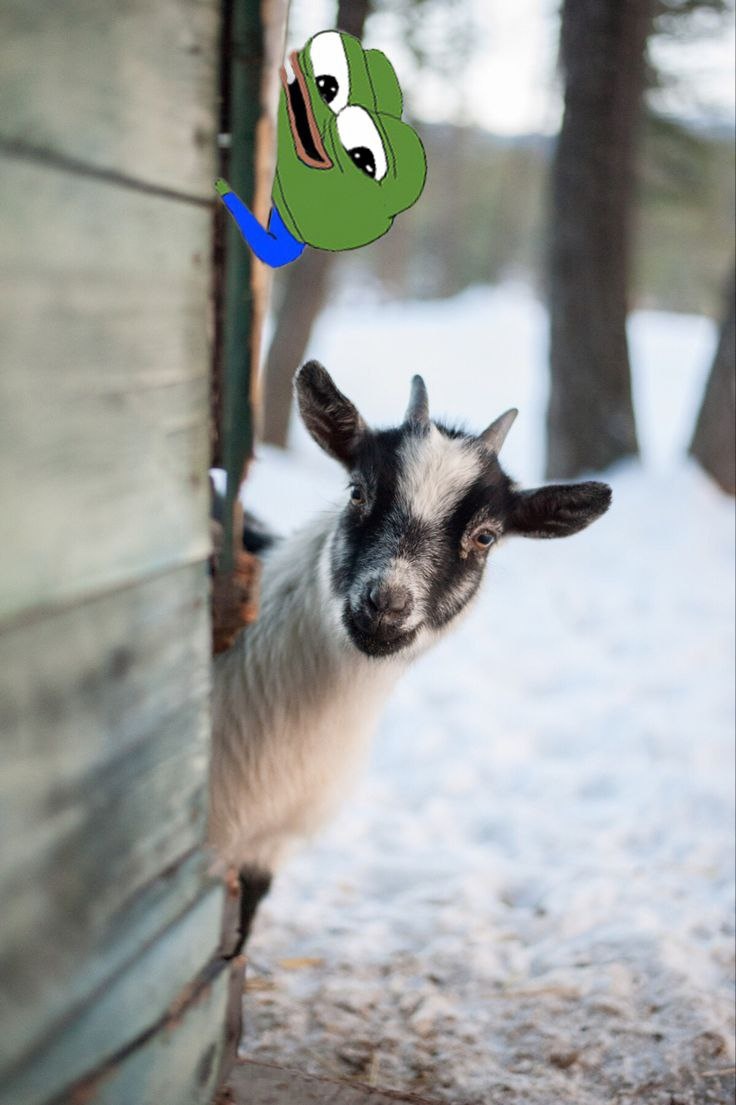 8558d6c5-a0db-4d38-84e5-06f3a9fdb81e