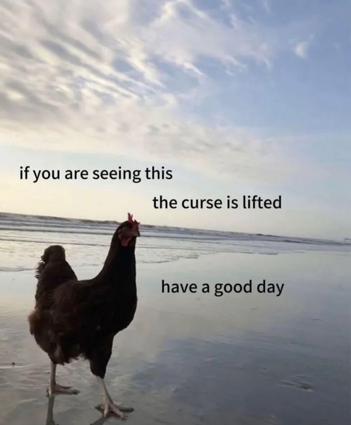 46fcb8b7-5b2a-4a86-a3e7-04c9d7c19c11