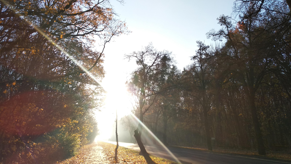 ca360fa5-7fad-46bd-ae37-1f49a7c555c9