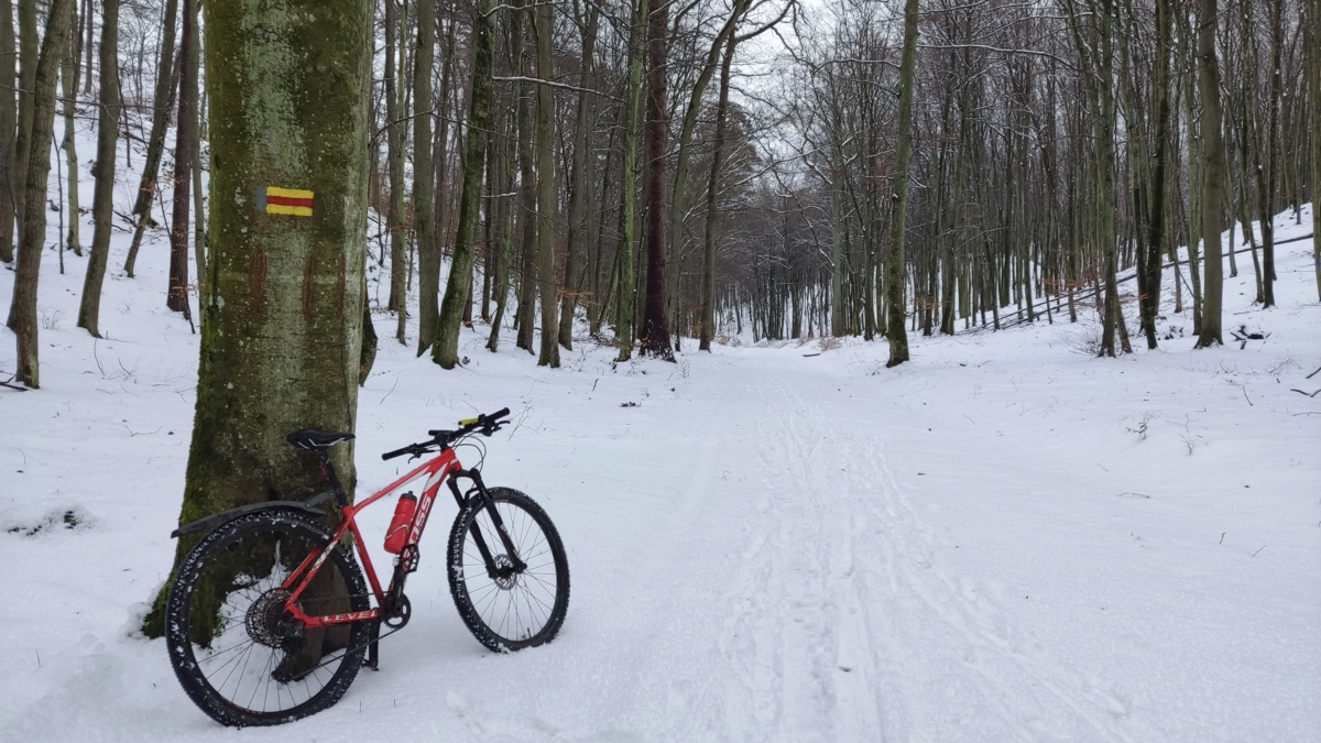 d0d461c2-0ee8-4286-981a-ae5cd861ba2d