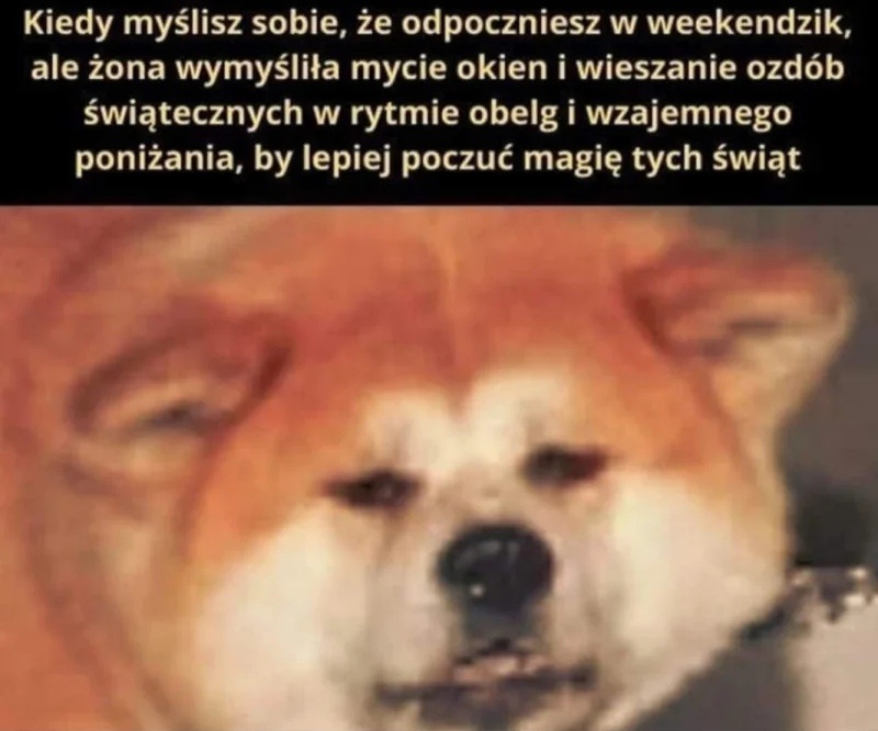 5ff644bb-e74b-431a-b9e5-0eec8ca5910c