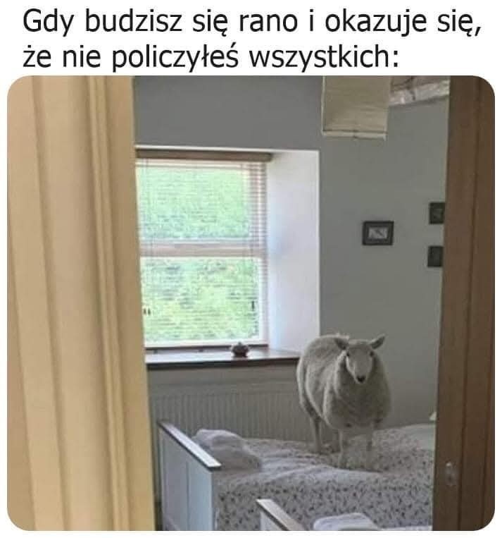 fc5decf7-8655-4241-a064-6b37bf972354