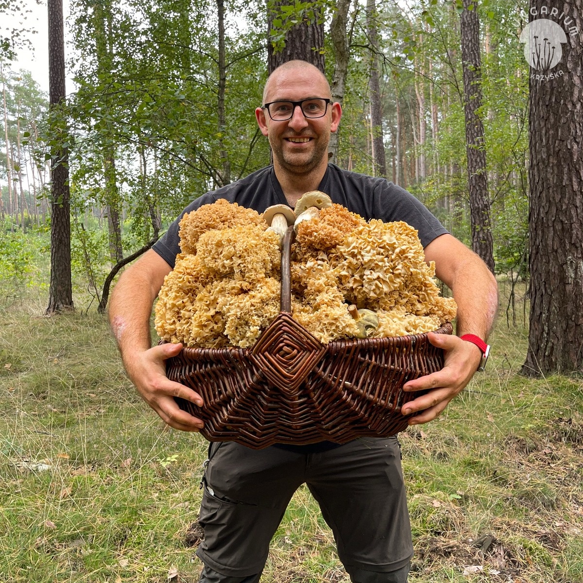 4995fb7b-790d-43e5-8afc-227d595ce1a8