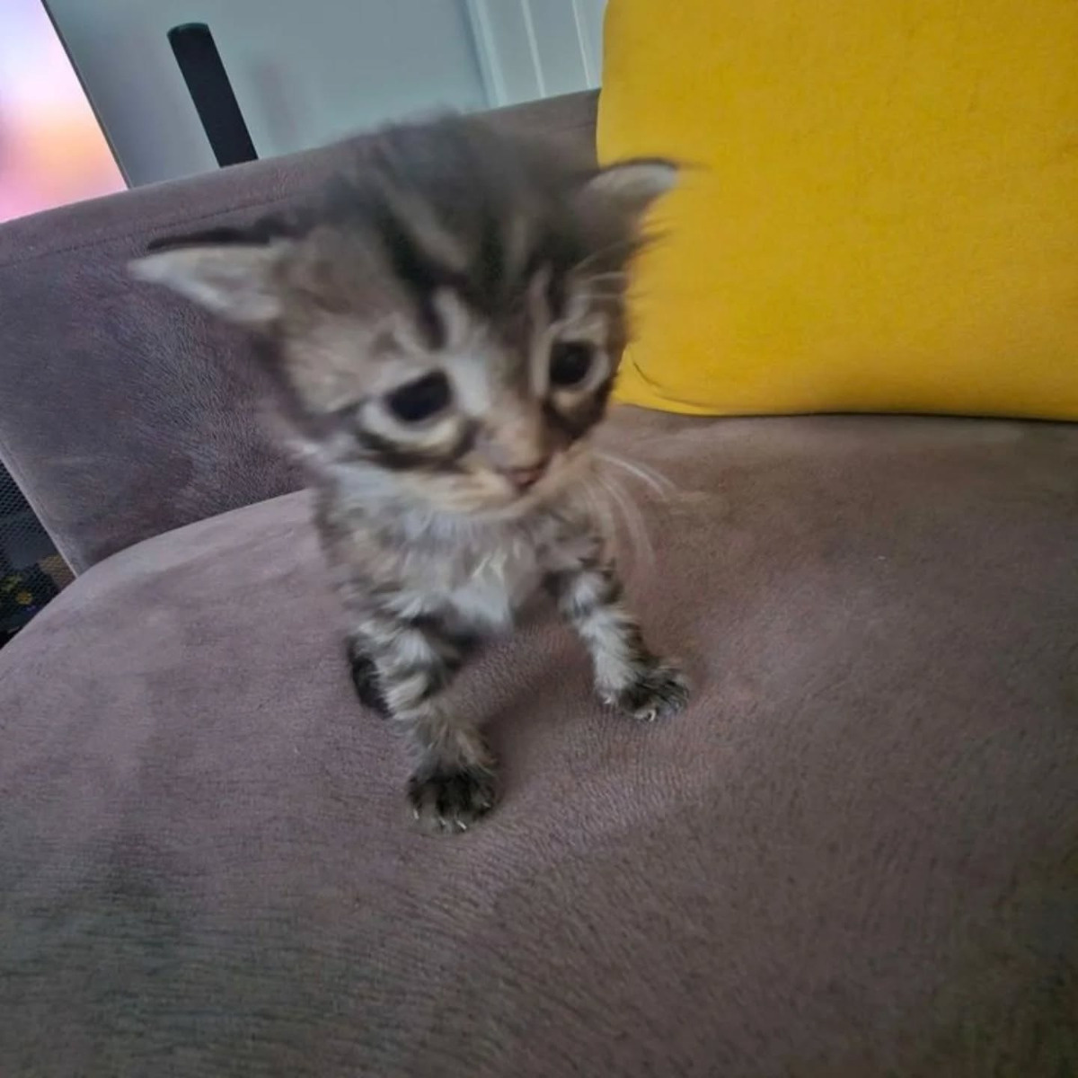 341d63a3-5242-41e9-8f59-af07a8512517